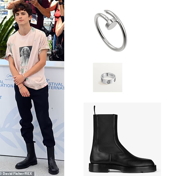 timothee chalamet cartier