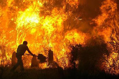 PENDIDIKAN LINGKUNGAN HIDUP Forest Fire Kebakaran Hutan PENDIDIKAN LINGKUNGAN HIDUP Forest Fire Kebakaran Hutan