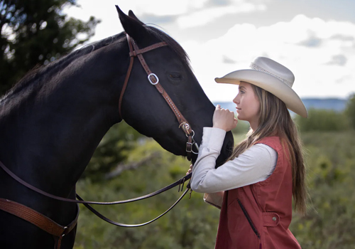 uptv heartland season 14 episode 1 uptv heartland season 14 episode 1