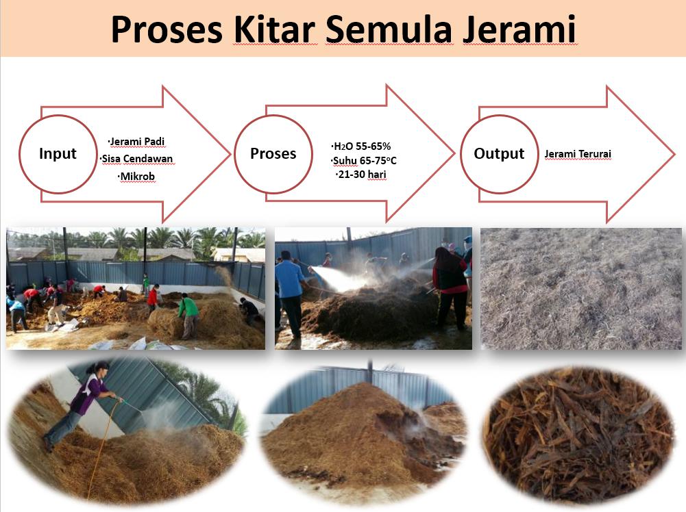 BLOG DUNIA PERTANIAN MALAYSIA PENGURUSAN KELESTARIAN TANAMAN PADI