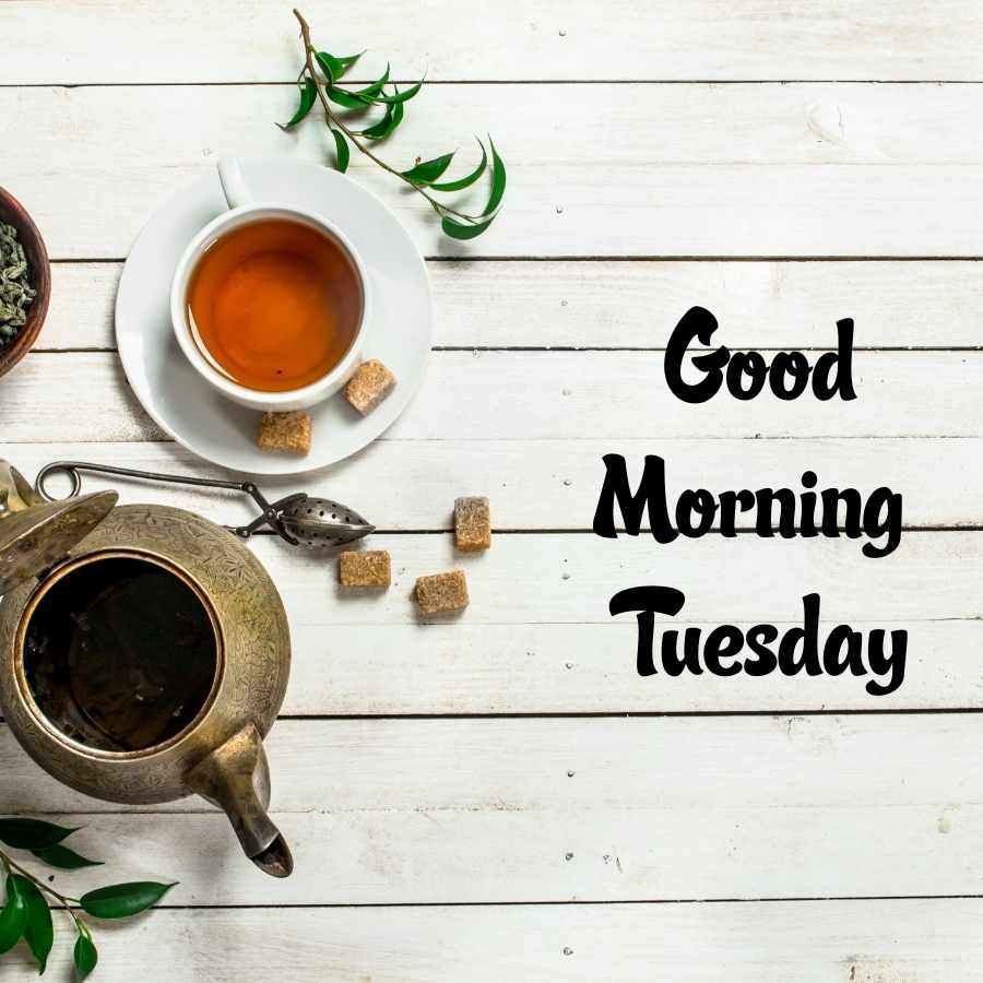 morning happy tuesday