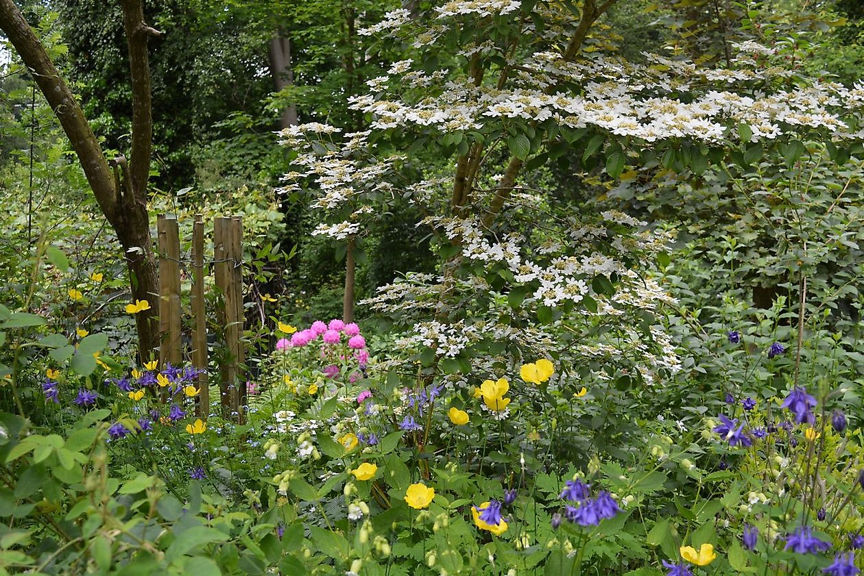 En nog een mooie tuin.