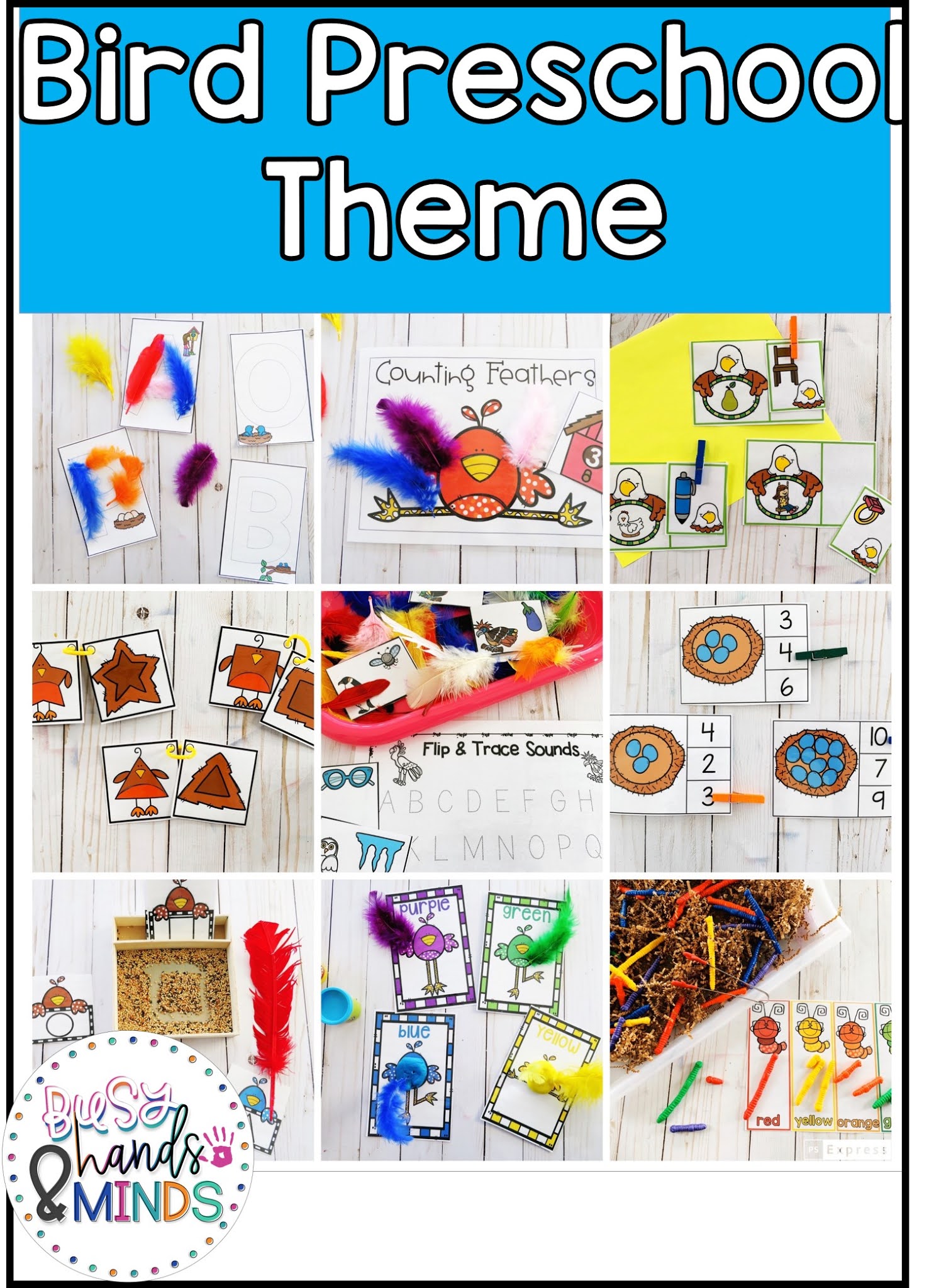 Birds Preschool Theme | Busy Hands and Minds