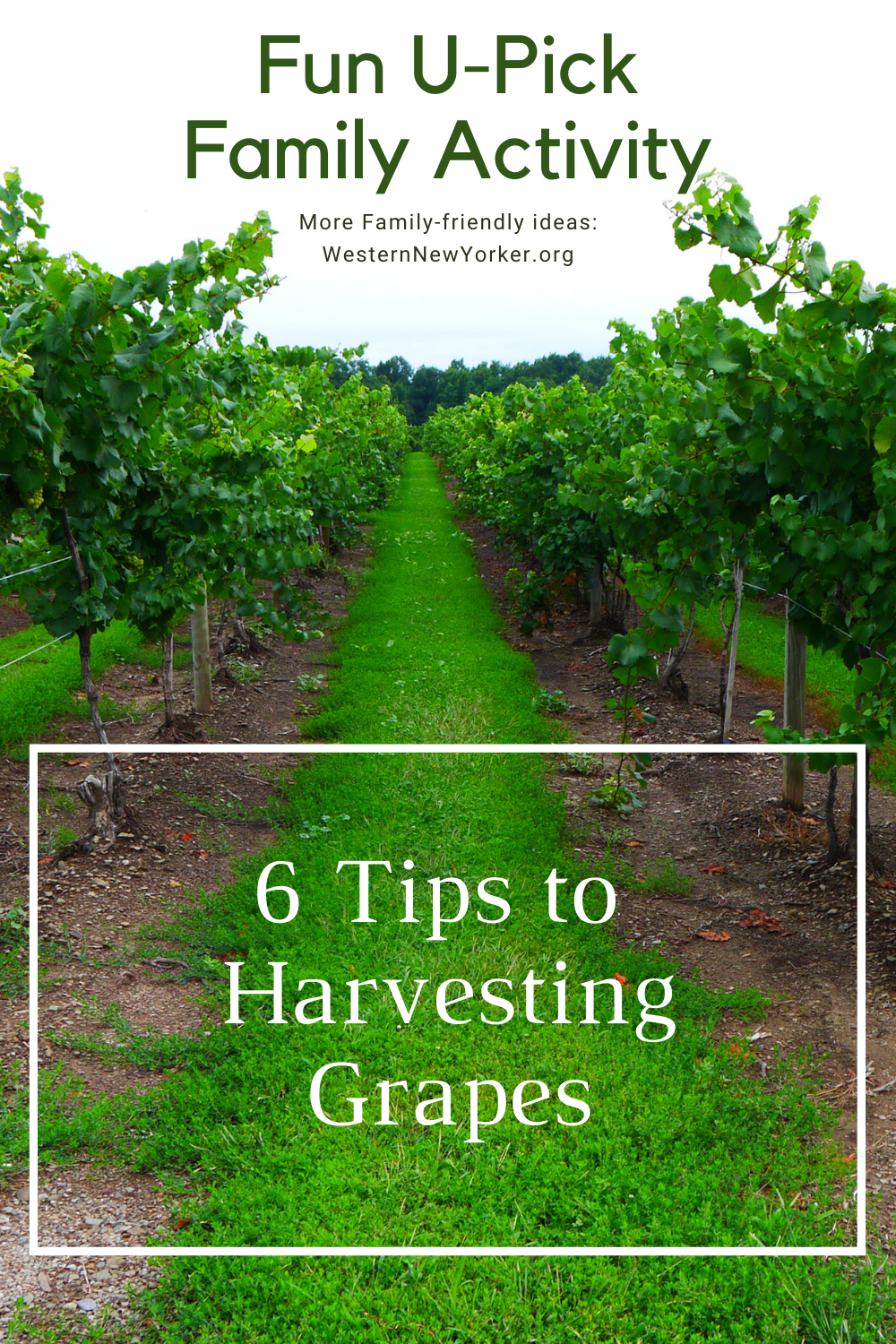 pin for later pin for later