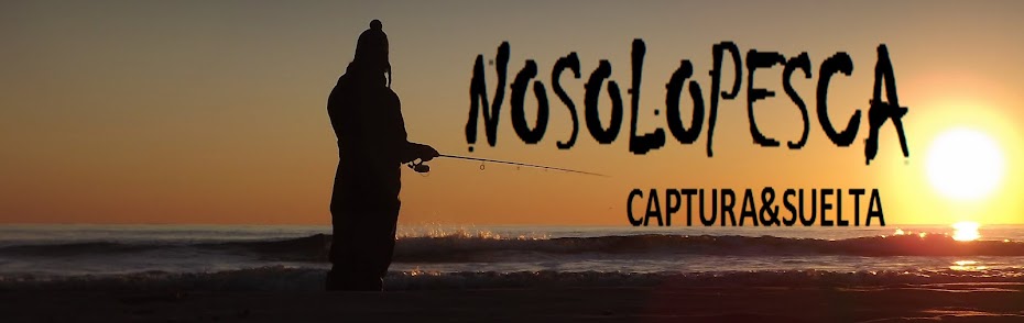 NoSoloPesca