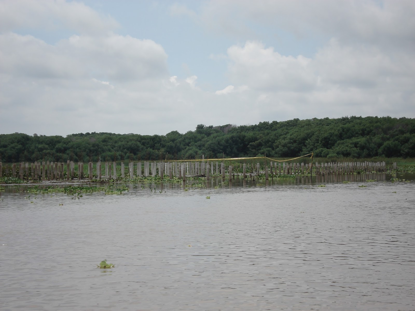 Cosas que me gustan... Laguna de Sinamaica un paraíso en el trópico