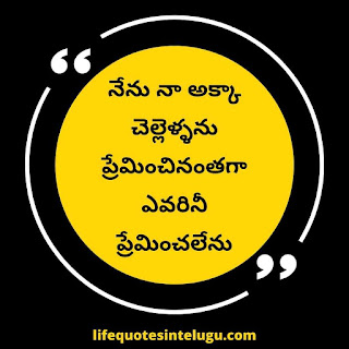 Brother Quotes In Telugu