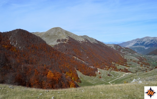 Serra di Ferrojo Serra di Ferrojo