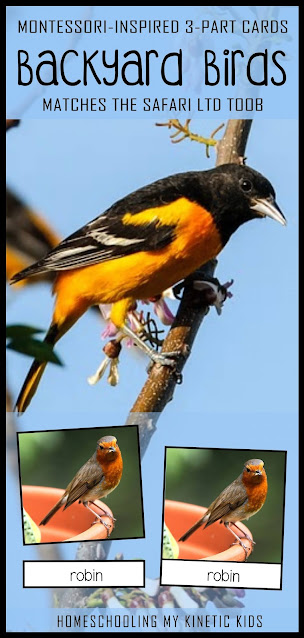 Montessori-Inspired Backyard Birds 3-Part Cards to match the Safari LTD toob.  Great for springtime homeschooling and Montessori classroom use.