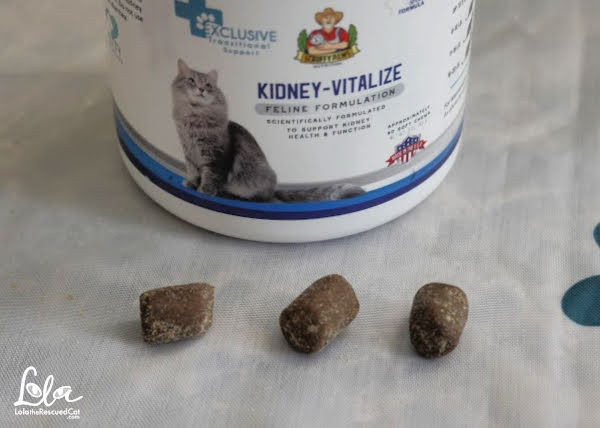 close up of Kidney-Vitalize Chews by Scruffy Paws Nutrition