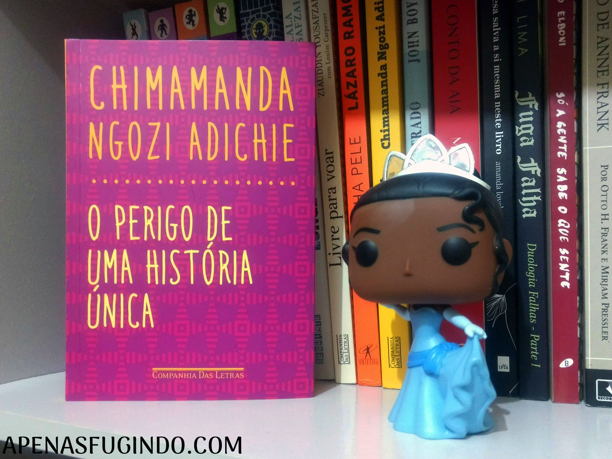 o perigo de uma história única chimamanda ngozi adichie