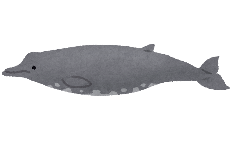 ツチクジラのイラスト 鯨 かわいいフリー素材集 いらすとや