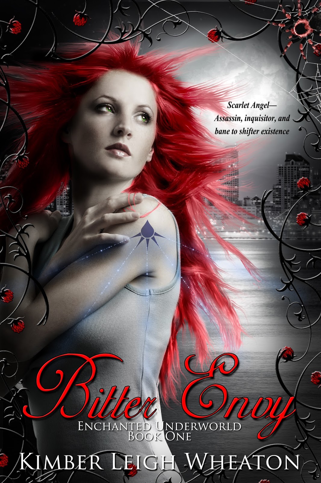 Kimber Leigh Writes Bitter Envy