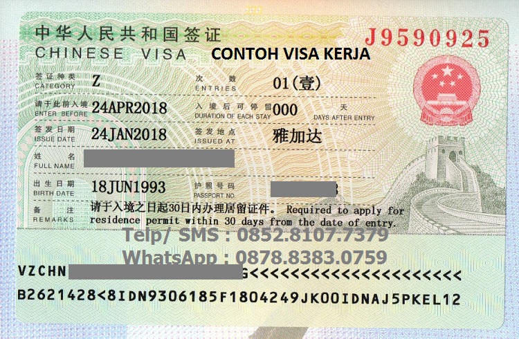 Visa в китай. Китайская виза. Семейная виза s 1 DВ Китай. China visa. Виза Китай размер.