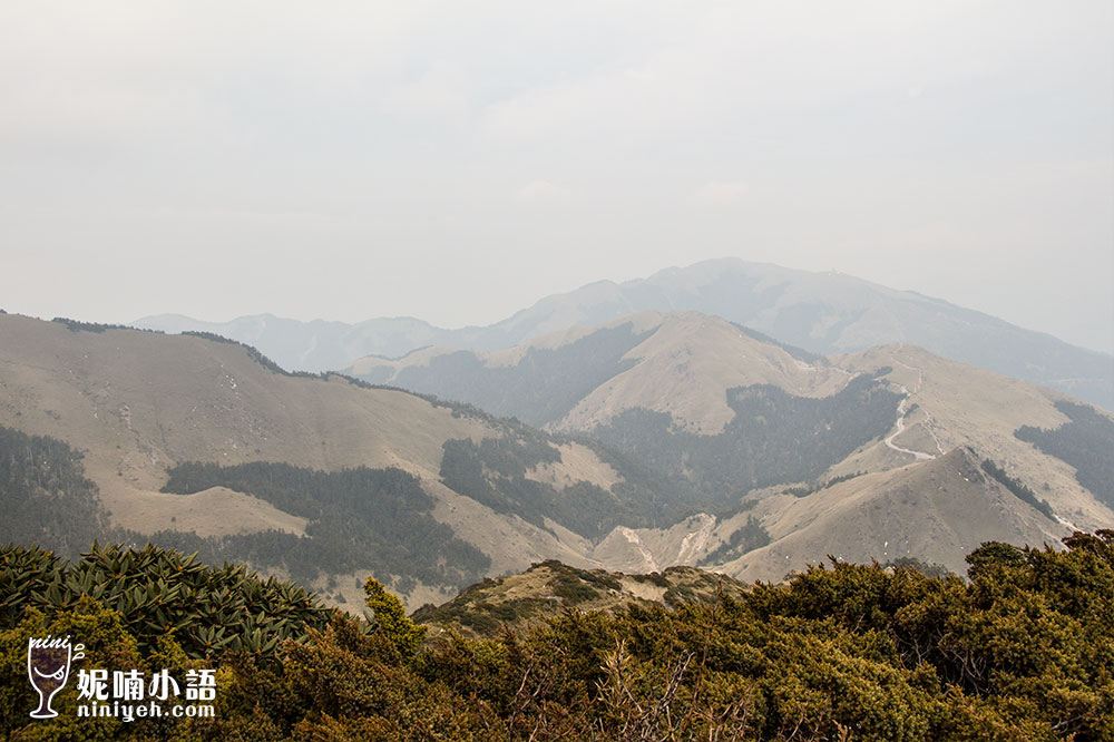 【南投景點】合歡山步道路線必讀指南。教你一次完成雙百岳