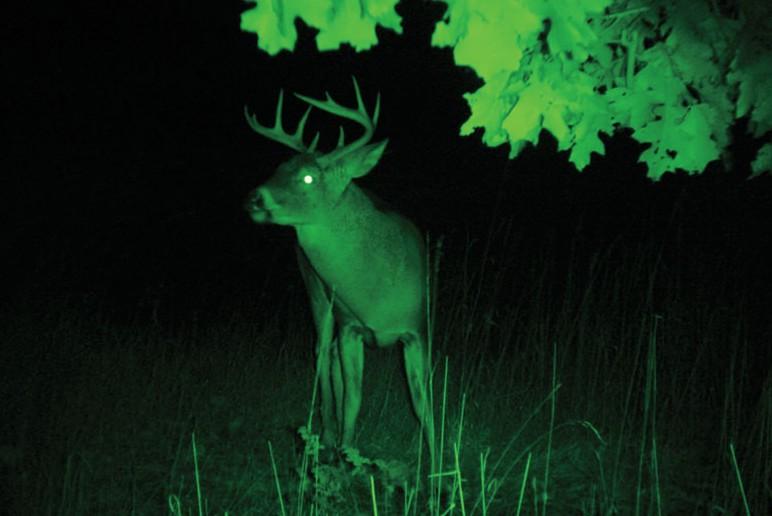Night Vision for Elk Hunting Best Night Vision Binocular