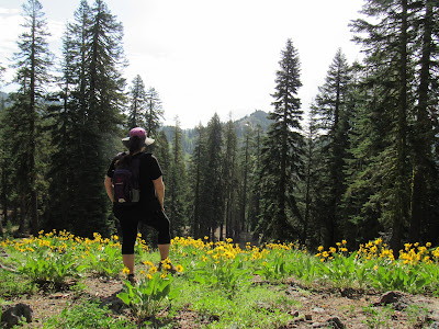 lassen volcanic national park