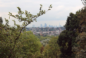 view-over-london-from-alexandra-palace