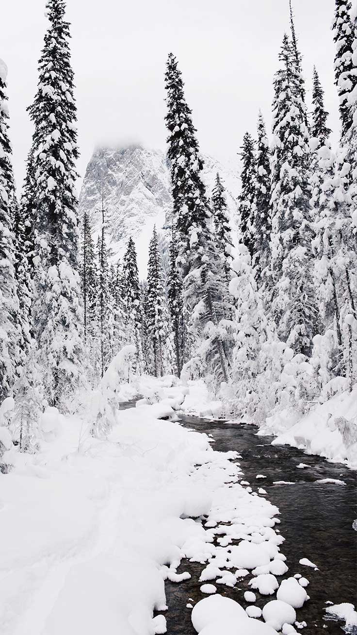 Top 10 Winter Landscapes iPhone Wallpaper Collection