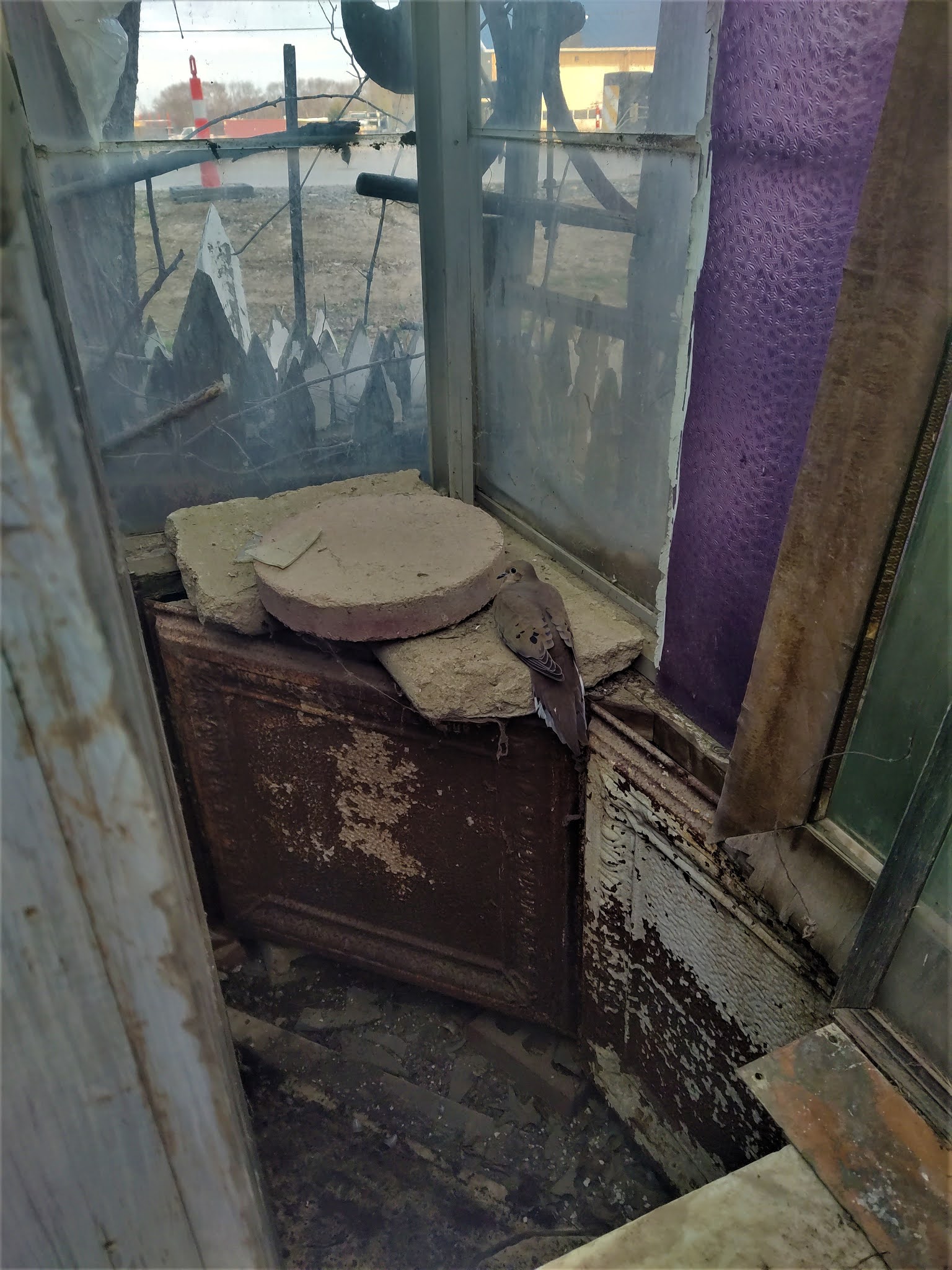 simply iowa Headin' to Des Moines...in The Mornin'. 'Junk Jubilee, at