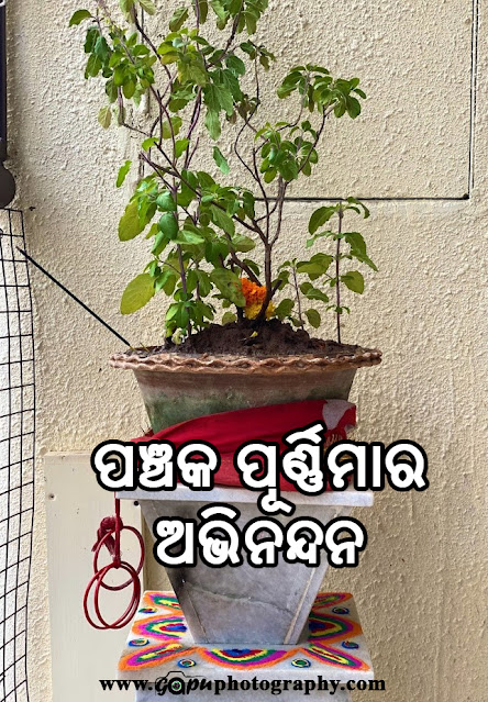 Panchaka Purnimara Abhinandana - ପଞ୍ଚକ ପୂର୍ଣ୍ଣିମାର ଅଭିନନ୍ଦନ