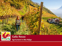 Concorso Gallo Rosso vinci una vacanza in Alto Adige