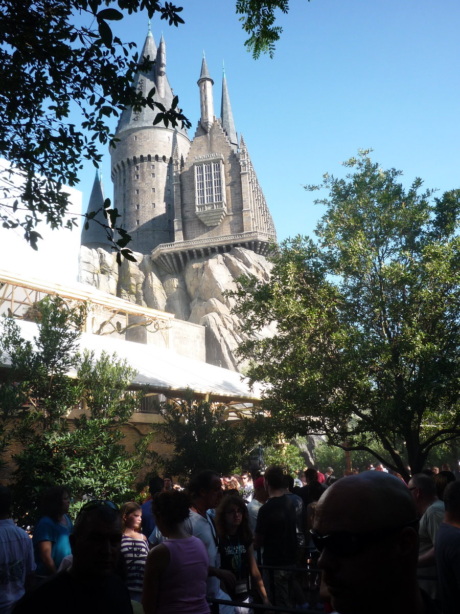 Auch das noch!: Warum ich eigentlich nach Orlando geflogen bin: Harry