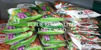 terong lalap, terong bulat, benih terong arena cap bunga matahari, manfaat terong, budidaya terong, jual benih terong, toko pertanian, toko online, lmga agro