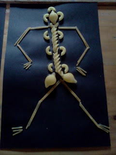 Montessori Design: X-Ray Art Work