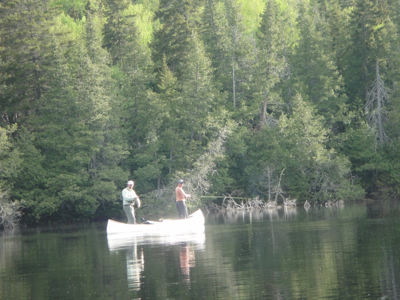 Northwoods Outfitters: Trophy Maine Brook Trout!