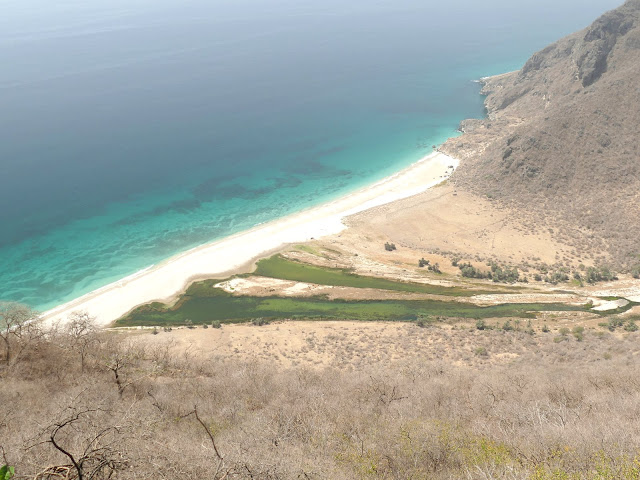 Панасоник и Макита: сверлим дыры в Омане Панасоник и Макита: сверлим дыры в Омане