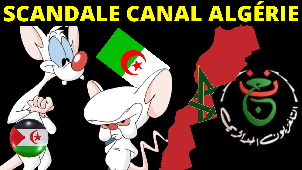 MAROC ALGERIE, Scandale Canal Algérie, Intox Polisario et fake News. Actualité Sahara marocain