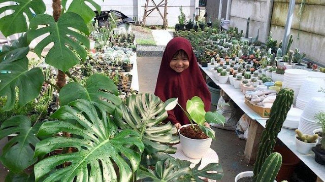 5 Tema Taman Luar Biasa yang Dapat Anda Coba 5 Tema Taman Luar Biasa yang Dapat Anda Coba
