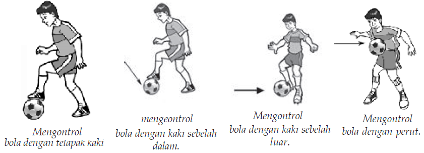 Sikap badan yang benar saat menahan bola dengan telapak kaki adalah….