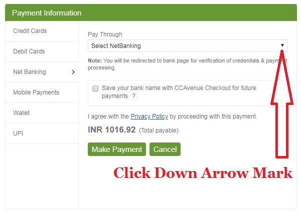 Godaddy Account not Showing Net Banking, Debit Cards, Wallets and UPI Payment options for India