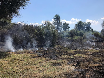 Πυρκαγιά σε καλάμια ξέσπασε στην περιοχή Αμπάρια Παναιτωλίου