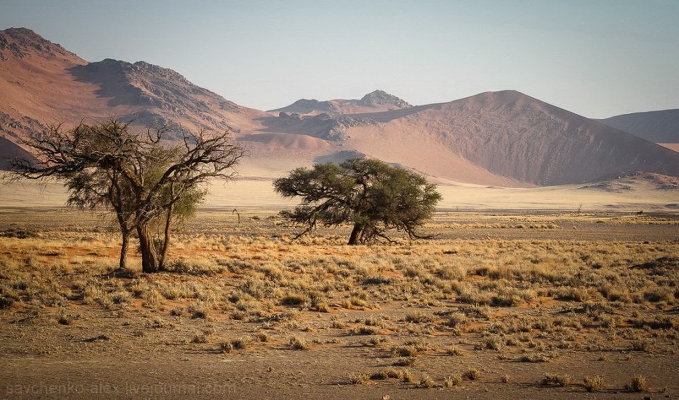 Внутренние воды полупустынь и пустынь. Полупустыня Намиб. Намиб пустыни Африки. Намибия пустыня Калахари. Полупустыни Африки.