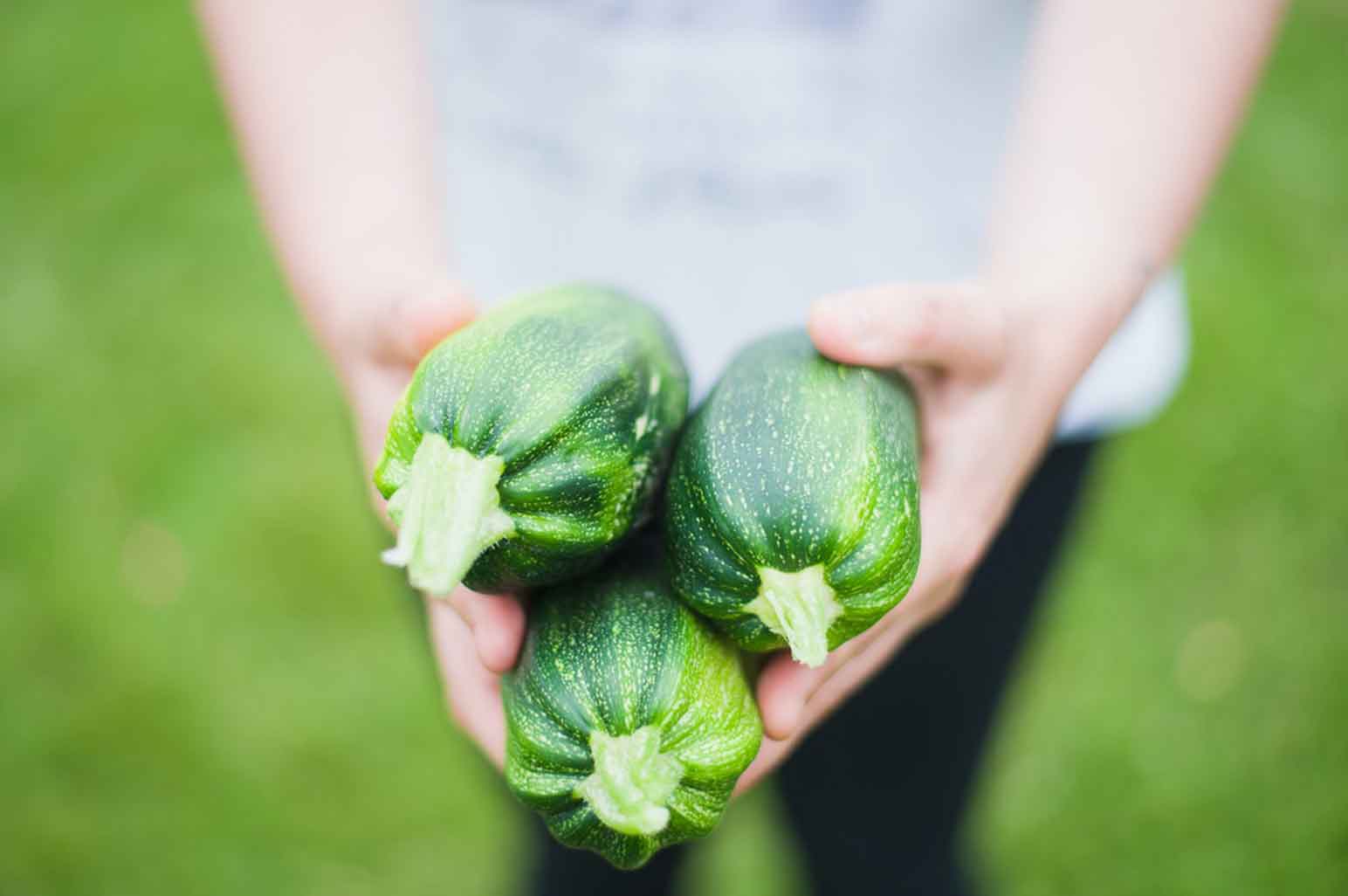 Expert Tips for Growing Your Own Food
