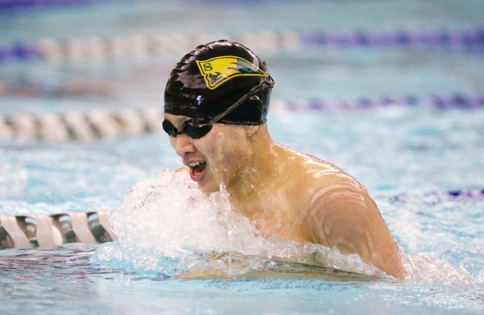 Mark Kodiak Ukena IHSA Boys Swimming Sectionals at Vernon Hills High