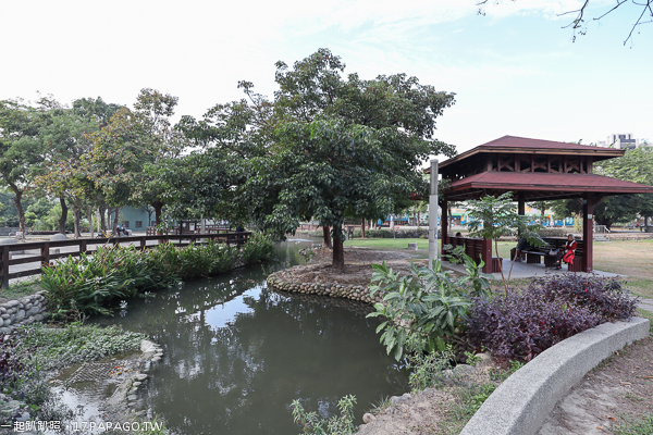 《台中.北屯》敦化公園|美好書席|親水生態蓮花池|綠草坪|親子休閒好去處 《台中.北屯》敦化公園|美好書席|親水生態蓮花池|綠草坪|親子休閒好去處