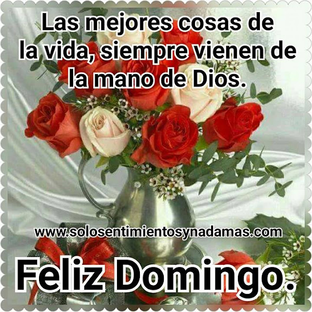 Feliz domingo