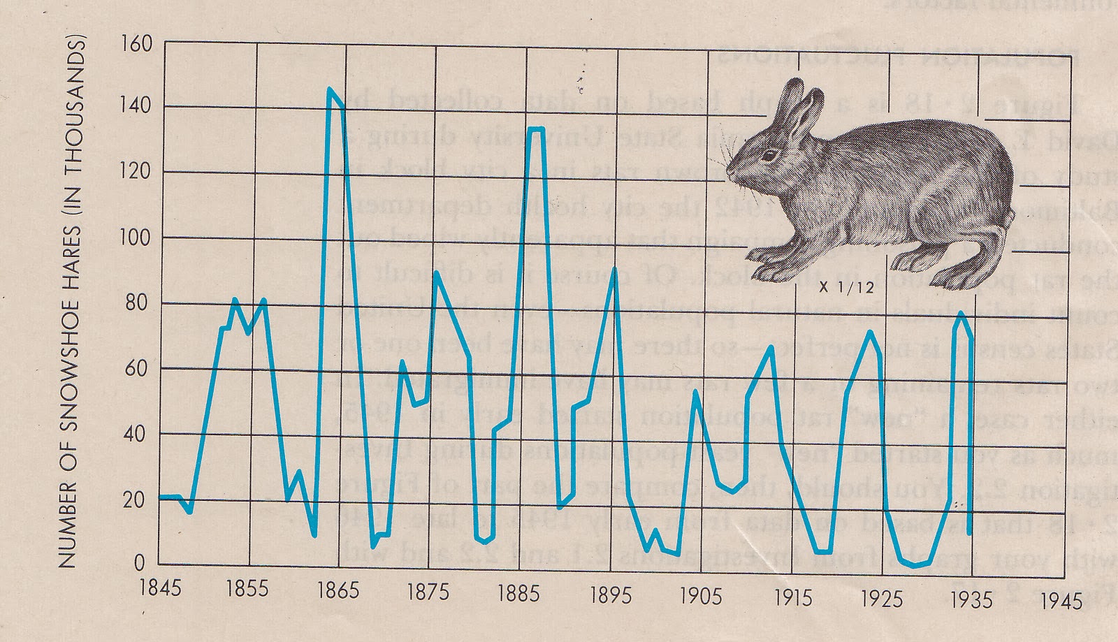 Statistics Rabbit New Dork Post: Rabbit/Rat Testing.