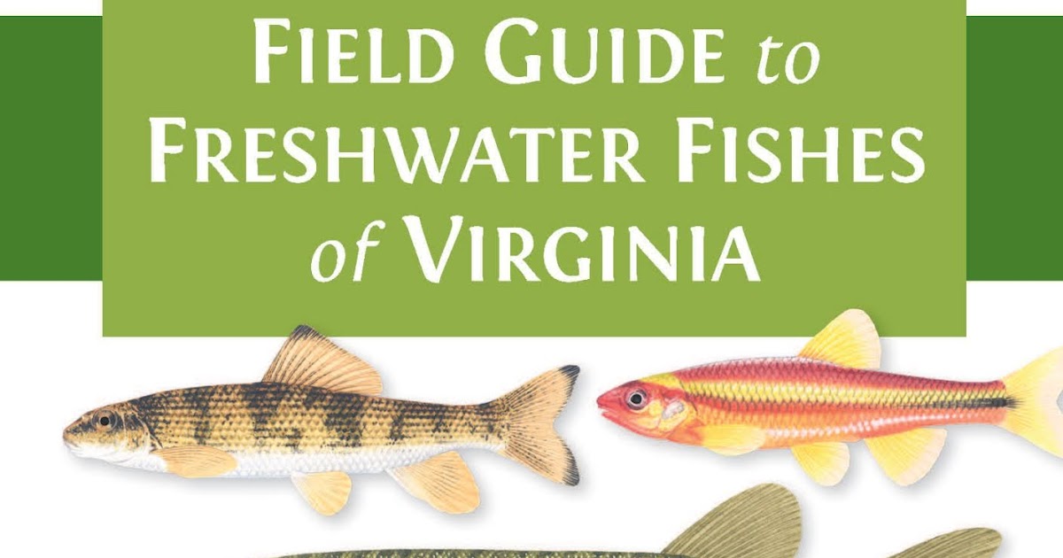 Field Guide to Freshwater Fishes of Virginia: Field Guide to Freshwater  Fishes of Virginia