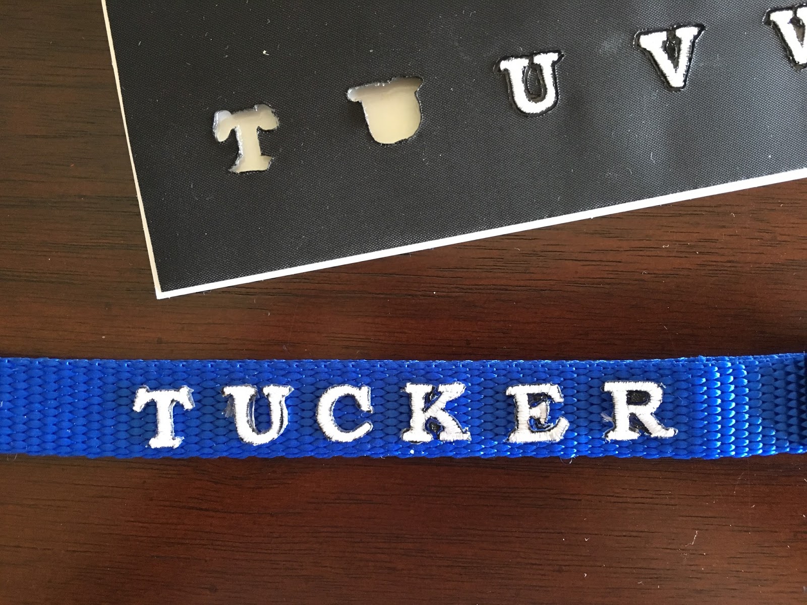 Creating with Joy Name My Collar!