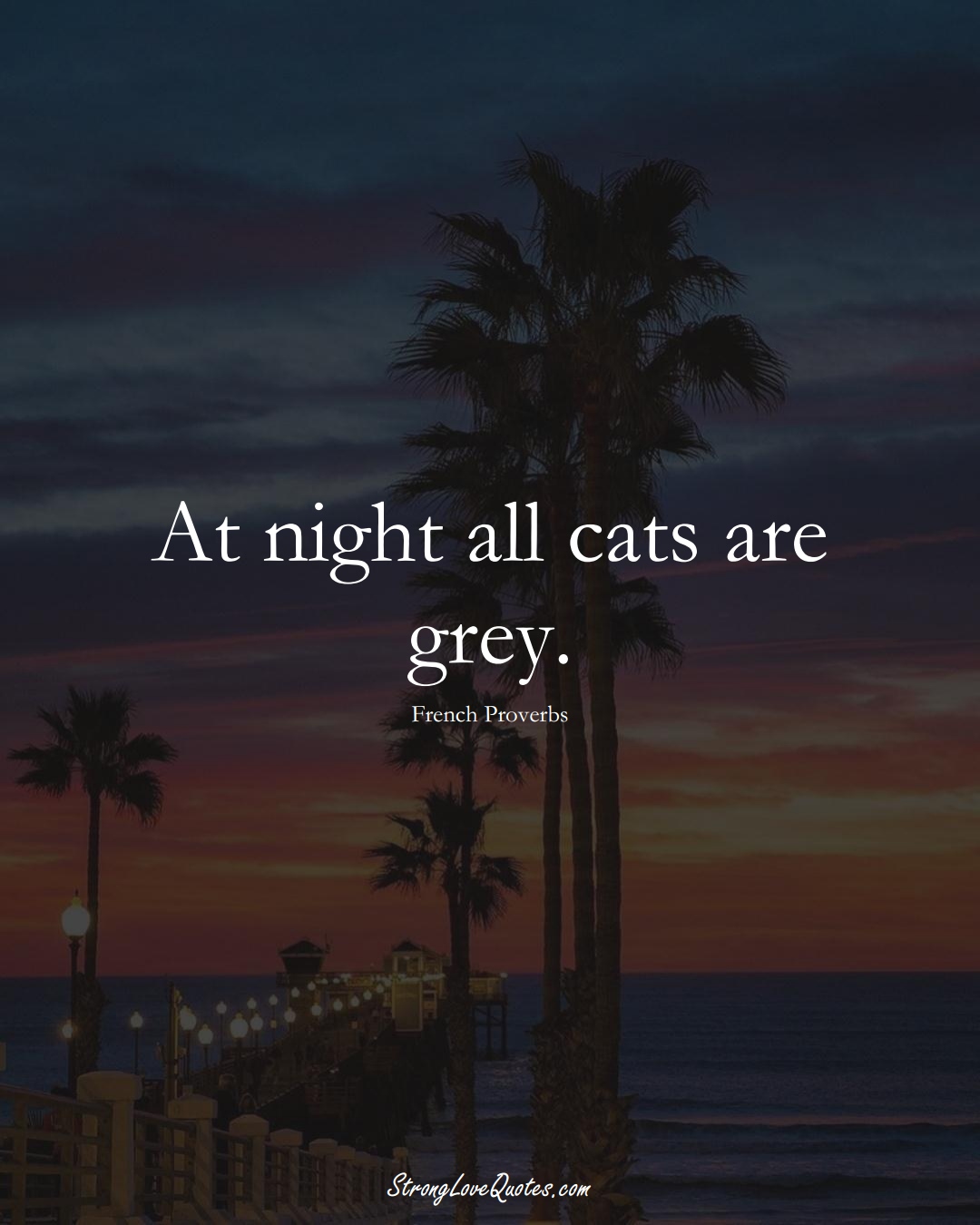 At night all cats are grey. (French Sayings);  #EuropeanSayings