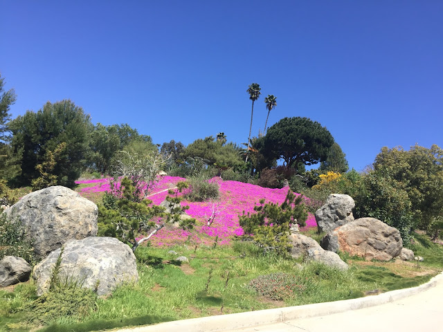 [Image: IMG_0787%255B1%255D.JPG]