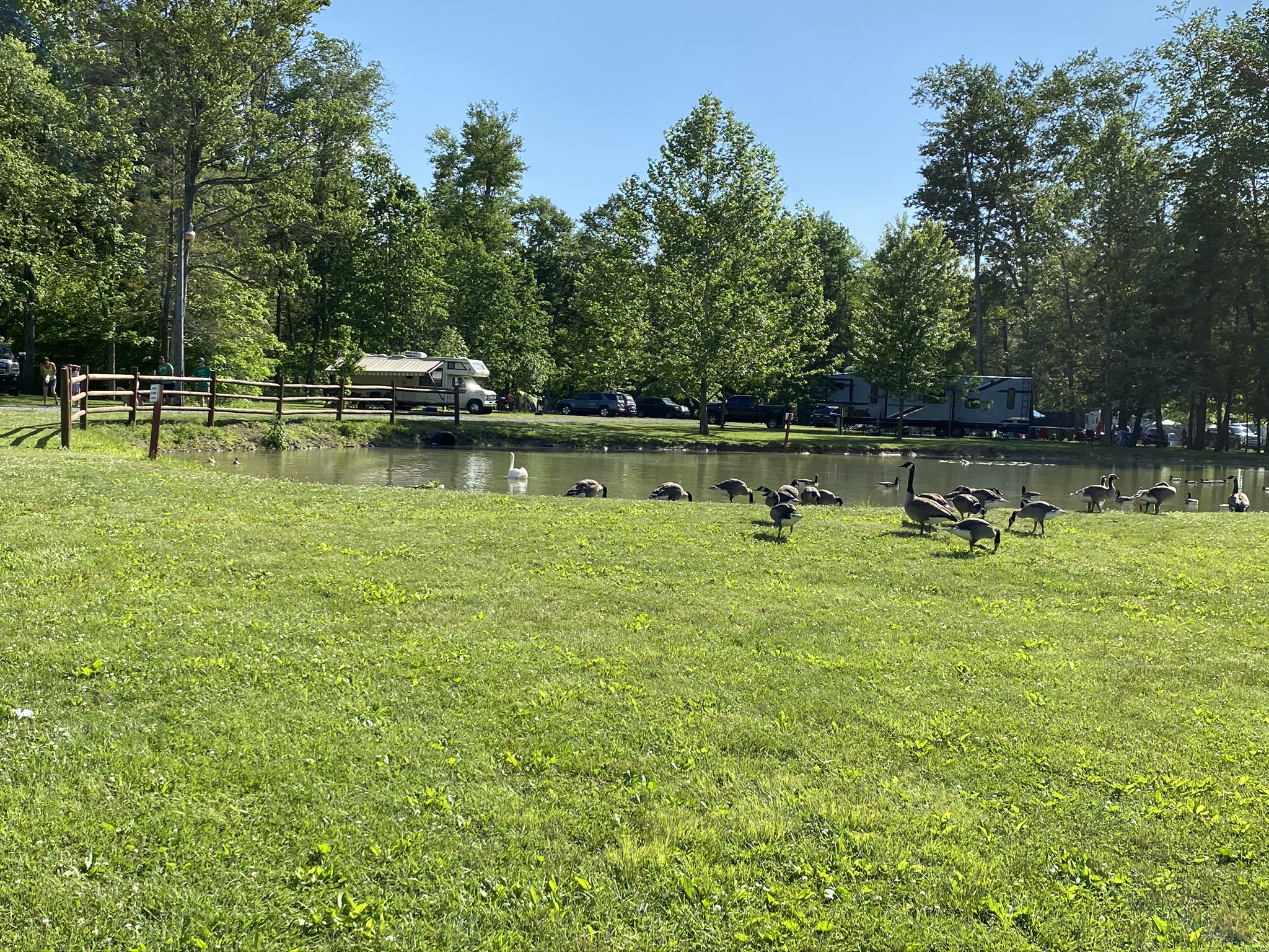 Knoebel's Lake Glory