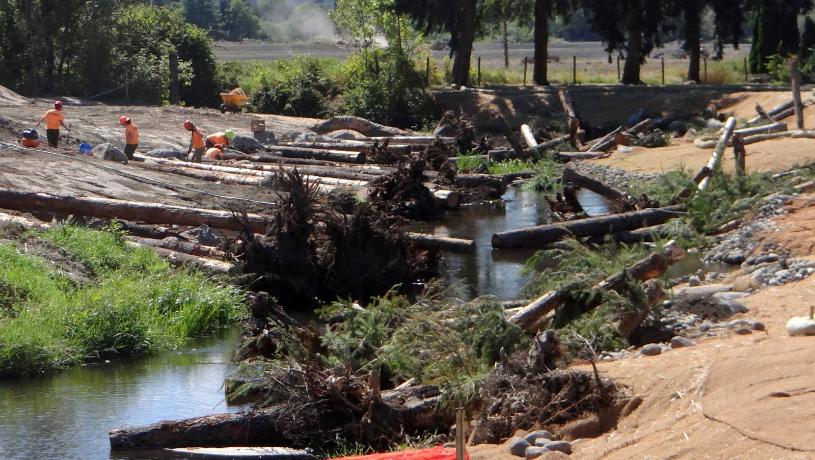 Redmond Neighborhood Blog Bear Creek Restoration At Friendly Village