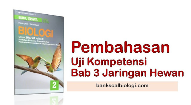 Jawaban Soal PG Biologi Buku Erlangga Kelas XI Bab 3 