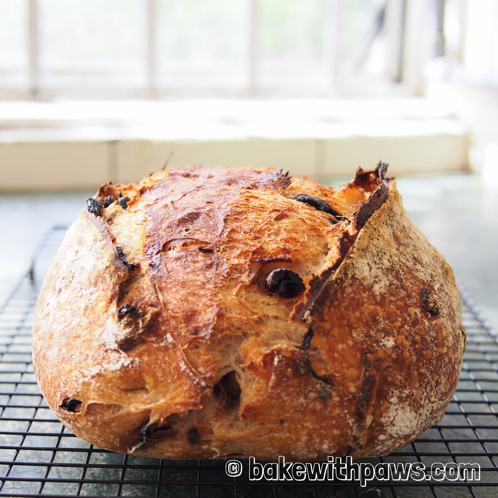 Sun Dried Tomato and Olive Sourdough Bread BAKE WITH PAWS